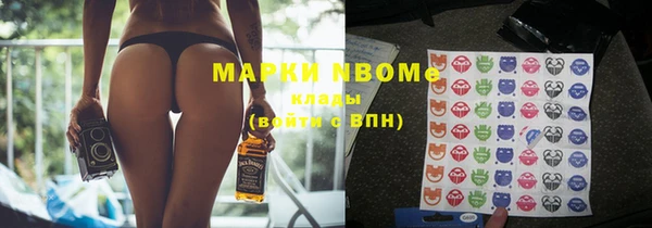 стаф Алзамай