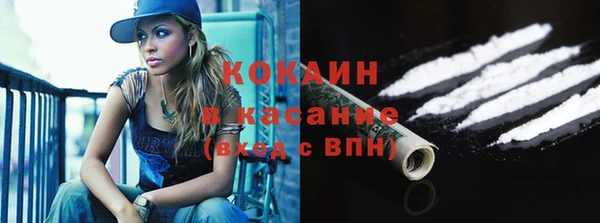 стаф Алзамай