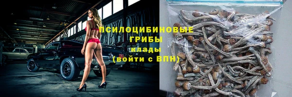 стаф Алзамай