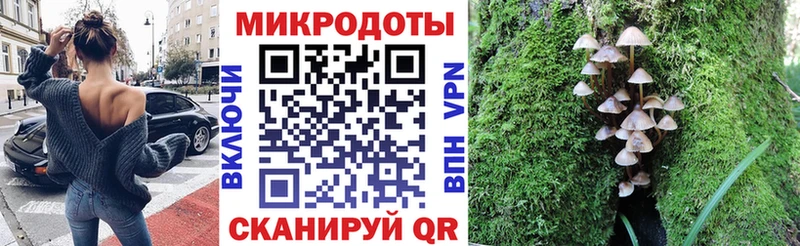 Псилоцибиновые грибы GOLDEN TEACHER  Купить закладки  Алдан 